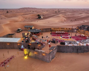 Evening Desert Safari