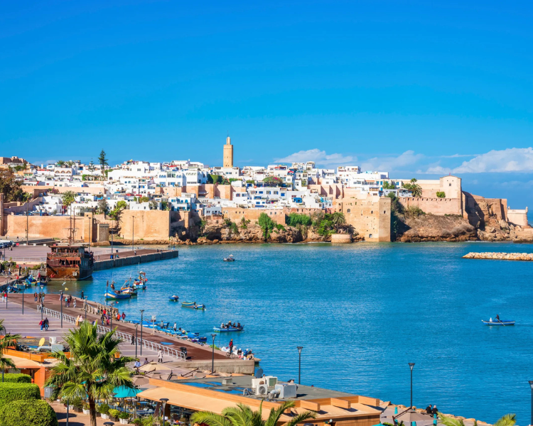 Untitled design (84)